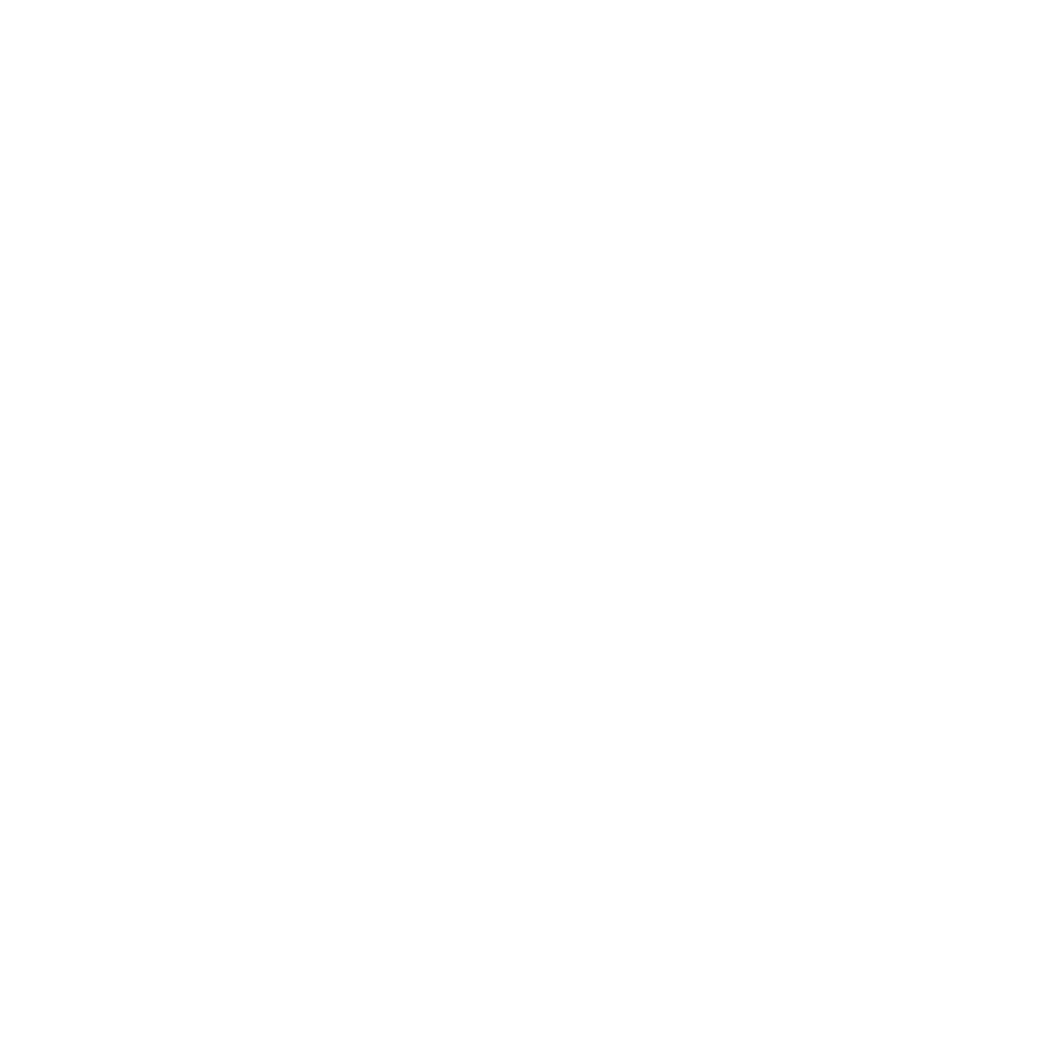 Sonic Surfer