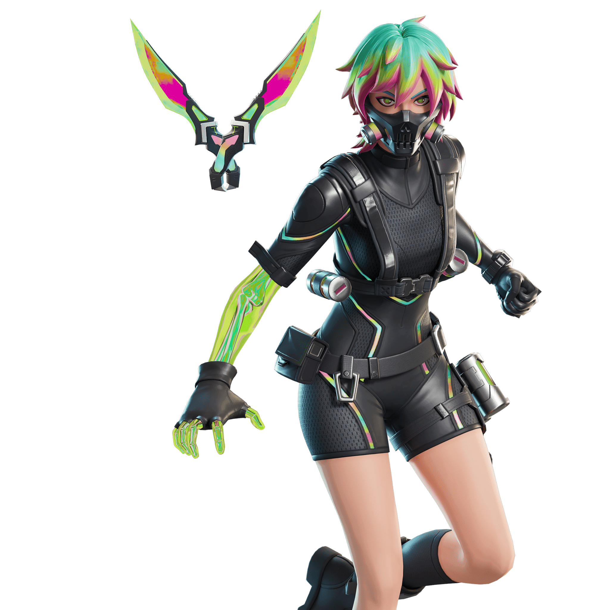 Anima Bundle